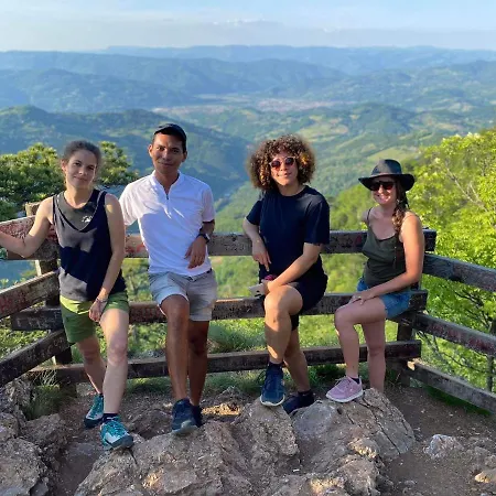 بيت شباب Mystic Forest ميترفاتس