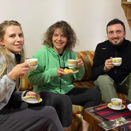 بيت شباب Mystic Forest *