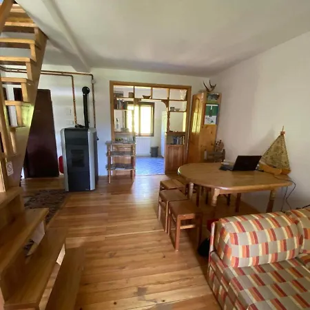 Mystic Forest * ميترفاتس