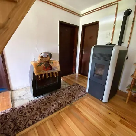 بيت شباب Mystic Forest *