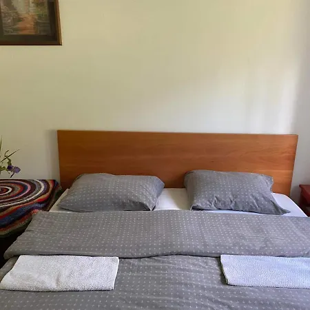 Mystic Forest Hostel *