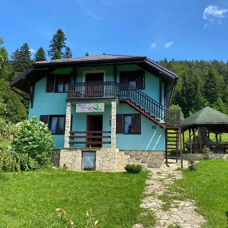 Hostel Mystic Forest *