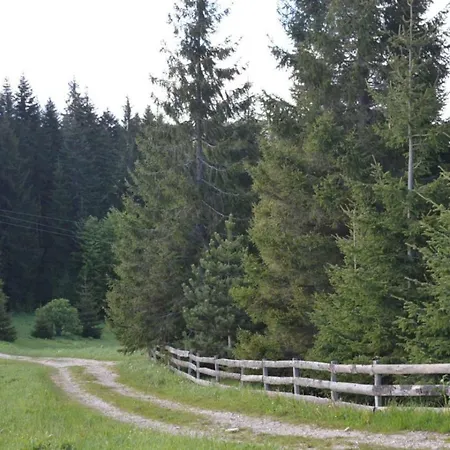 Hostel Mystic Forest Mitrovac