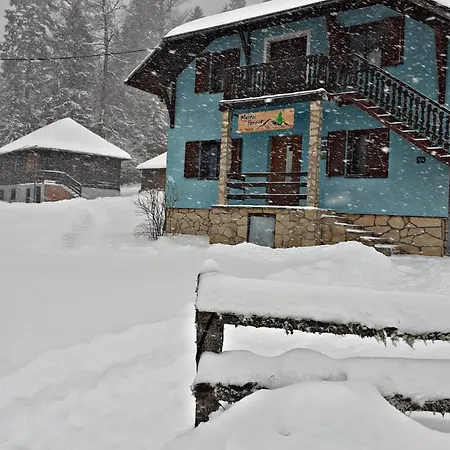 Mystic Forest * Mitrovac