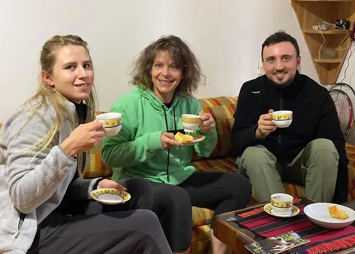 بيت شباب Mystic Forest *