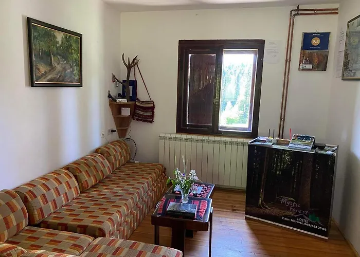 بيت شباب Mystic Forest ميترفاتس