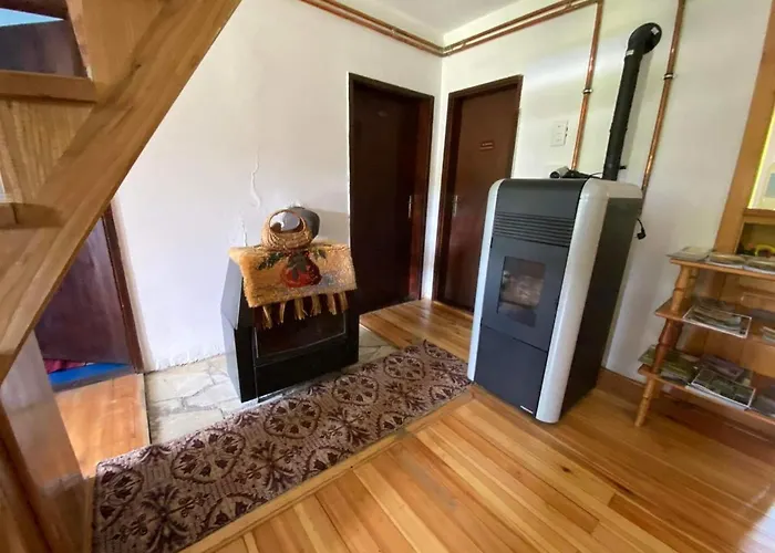 بيت شباب Mystic Forest *