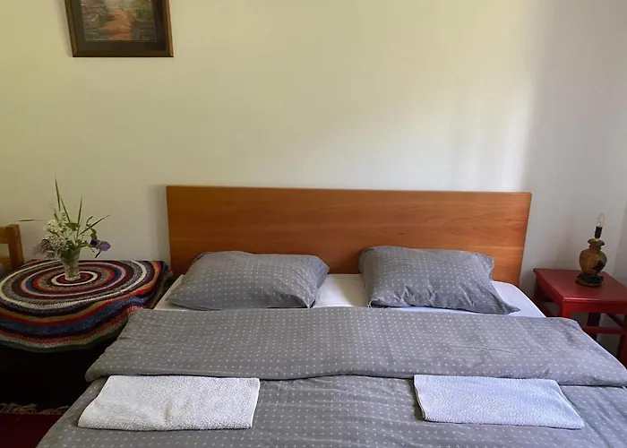 Mystic Forest بيت شباب *