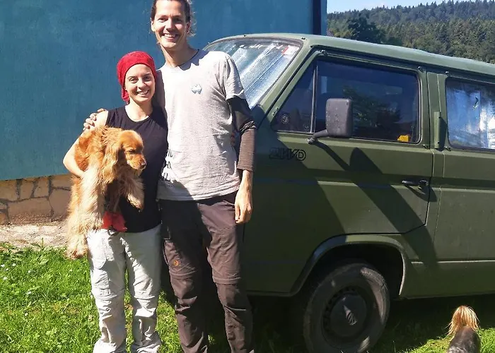 Mystic Forest بيت شباب ميترفاتس