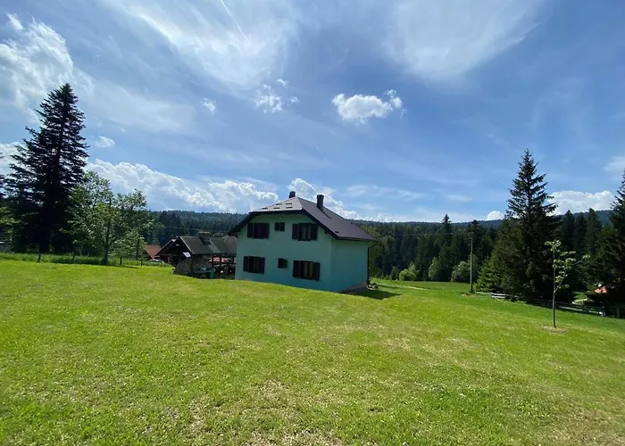 Mystic Forest بيت شباب ميترفاتس