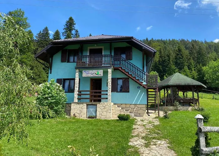 بيت شباب Mystic Forest *