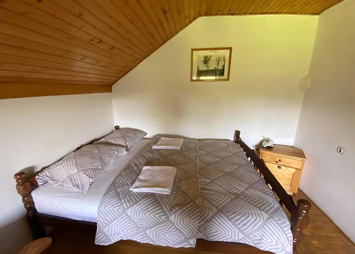 Mystic Forest بيت شباب ميترفاتس