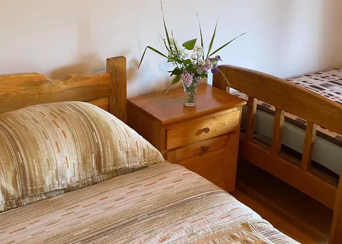 Mystic Forest ميترفاتس