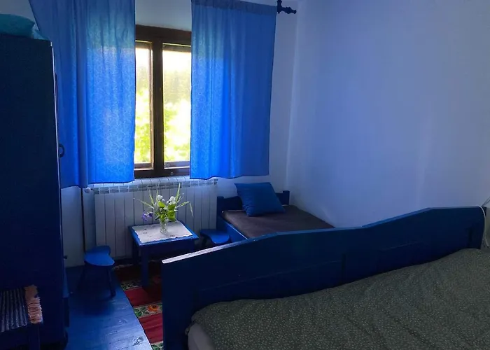 Mystic Forest ميترفاتس