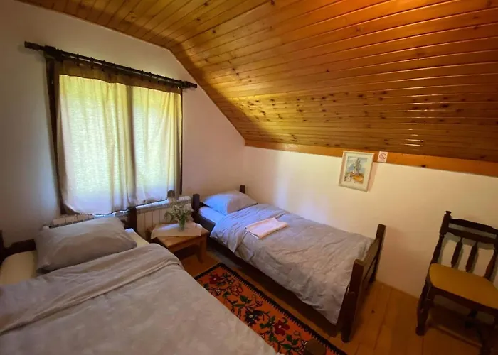 بيت شباب Mystic Forest ميترفاتس