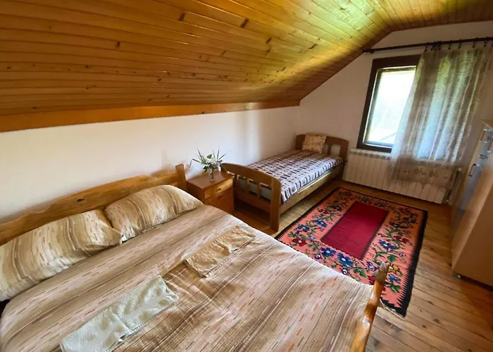 Mystic Forest بيت شباب