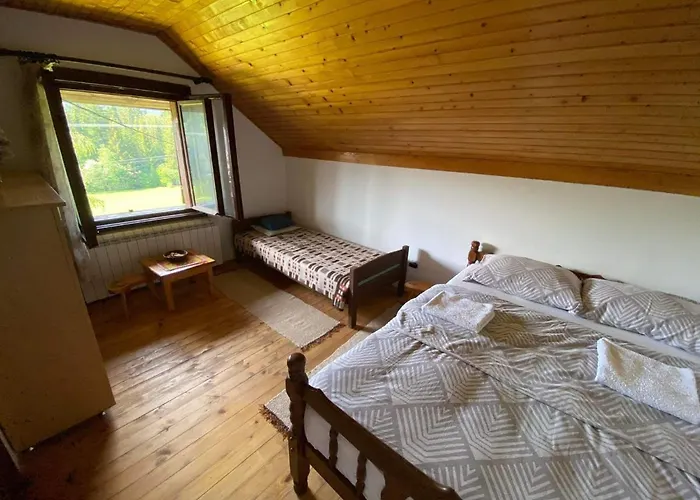 Mystic Forest * ميترفاتس