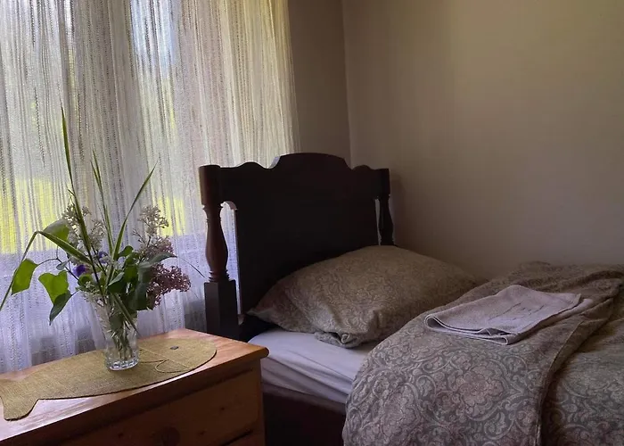 Mystic Forest بيت شباب *