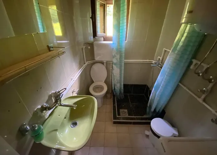 Mystic Forest بيت شباب *