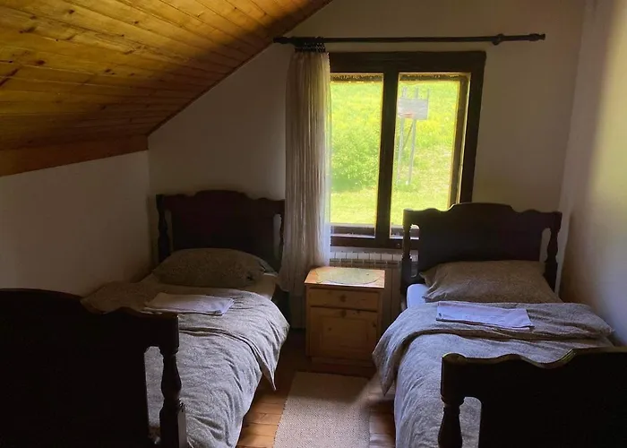 Mystic Forest بيت شباب ميترفاتس