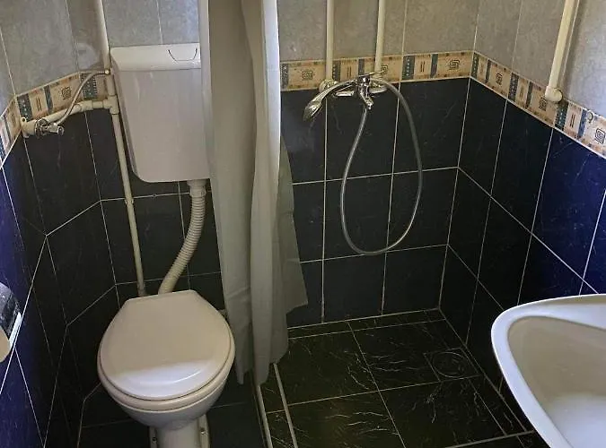 Mystic Forest ميترفاتس