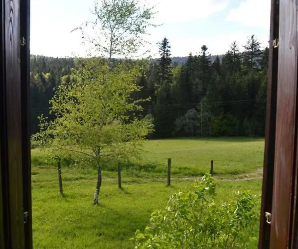 Mystic Forest بيت شباب