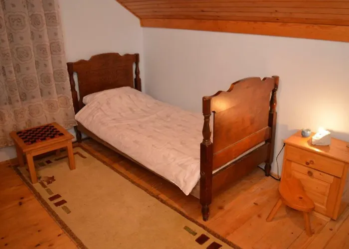 بيت شباب Mystic Forest