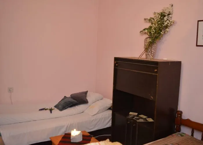 بيت شباب Mystic Forest *