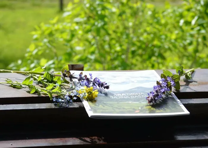 Mystic Forest بيت شباب