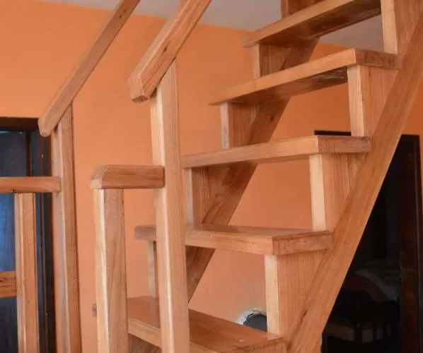 Mystic Forest بيت شباب ميترفاتس