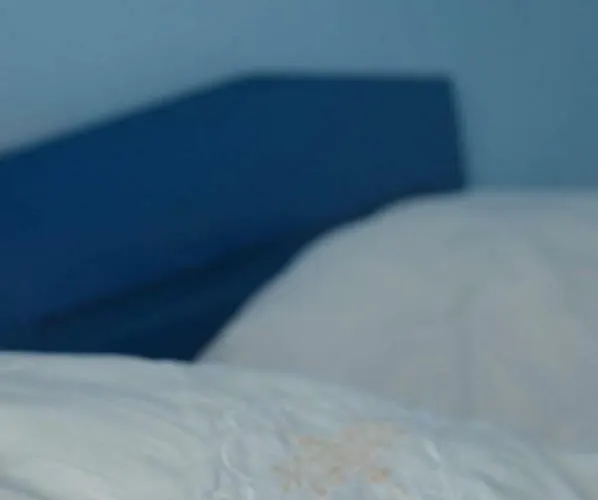 Mystic Forest بيت شباب ميترفاتس