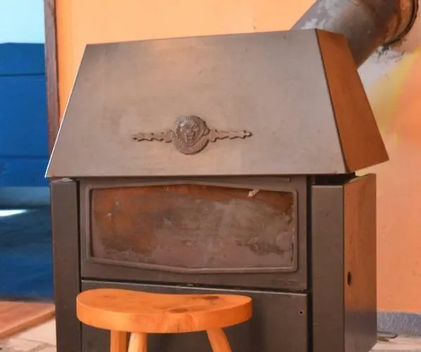 بيت شباب Mystic Forest