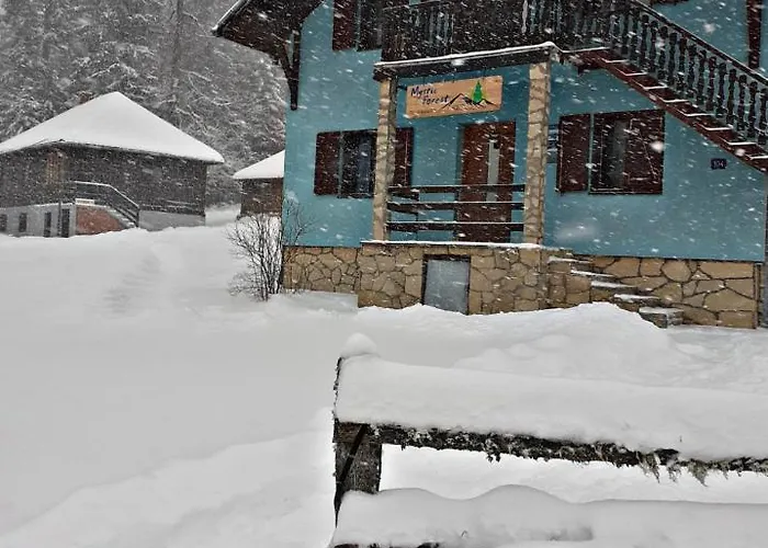 Mystic Forest * ميترفاتس